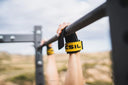 Picsil Athlete doing Toes To bar